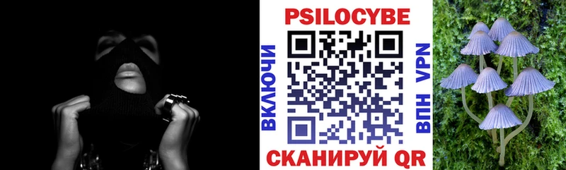 Галлюциногенные грибы мицелий  Пустошка 