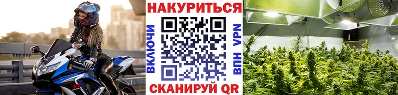 как найти закладки  Пустошка  OMG зеркало  Конопля AK-47 